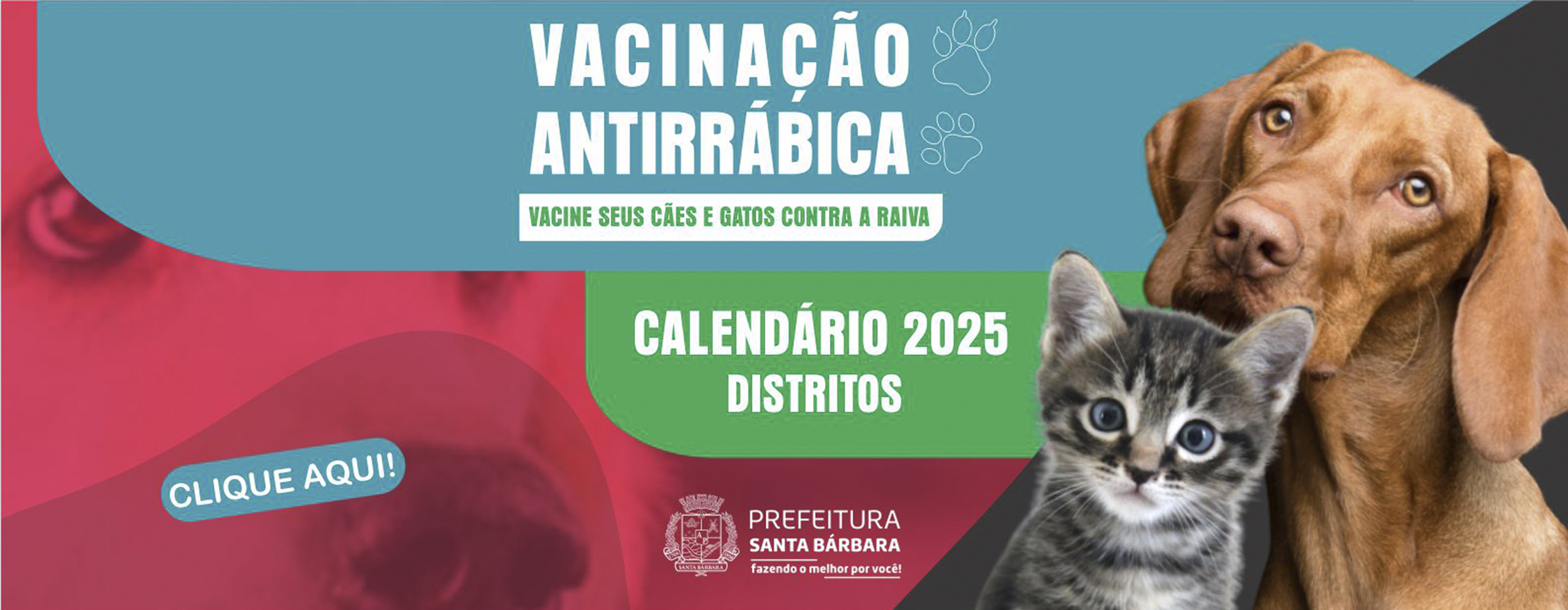 VACINAÇÃO ANTIRRABICA